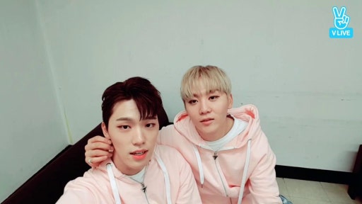 V Live Seventeen Happy Birthday Dino