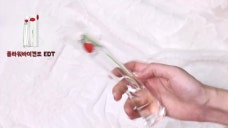 [1분팁] 20대 여자 향수 추천! 봄 느낌으로 골라봤어요 Spring perfume recommendations for girls in their 20s