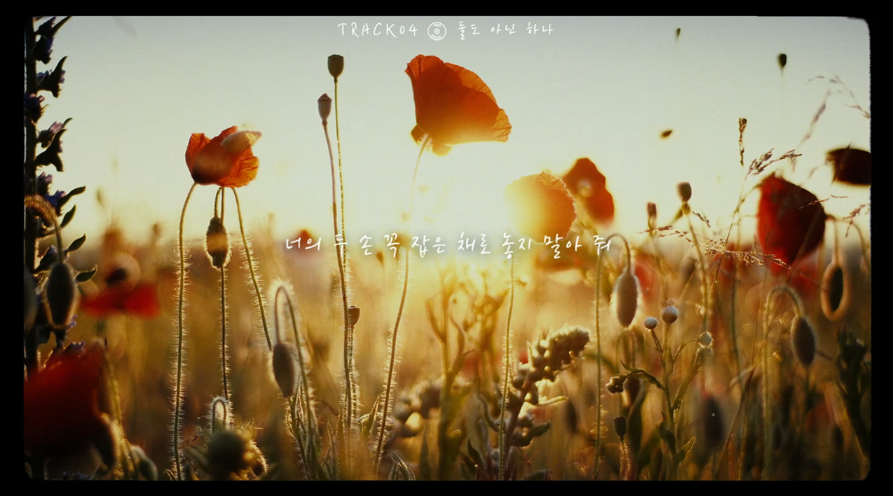thumbnail DAY6(데이식스) <The Book of Us : Negentropy> Lyric Film ④ "둘도 아닌 하나"